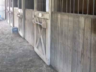 Mt Airy Horse Stables